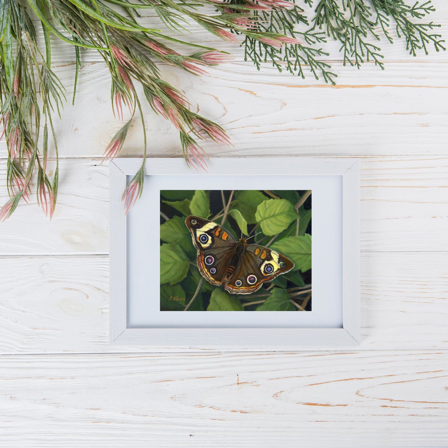 Buckeye Butterfly, Fine Art Giclee Print