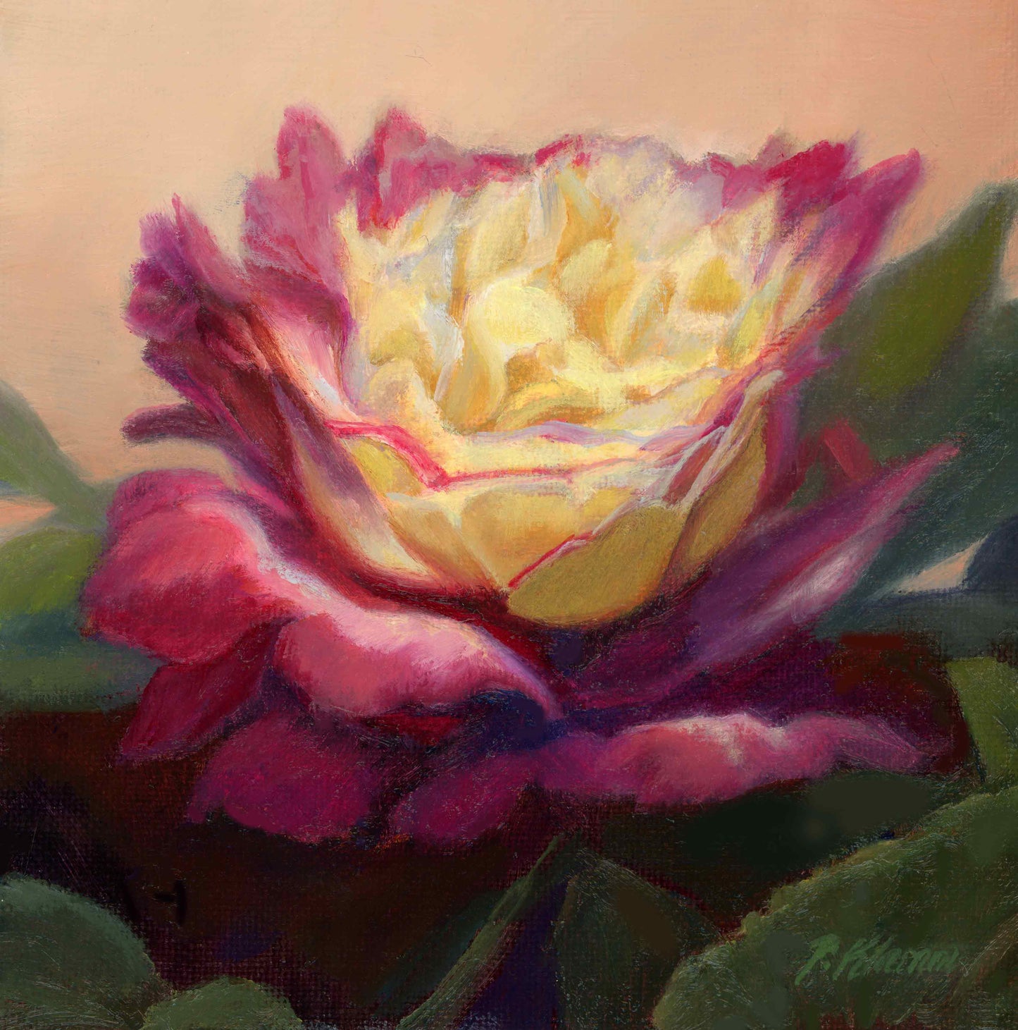 Double Delight Rose, Original Small Floral Oil Painting 6 x 6 Unframed