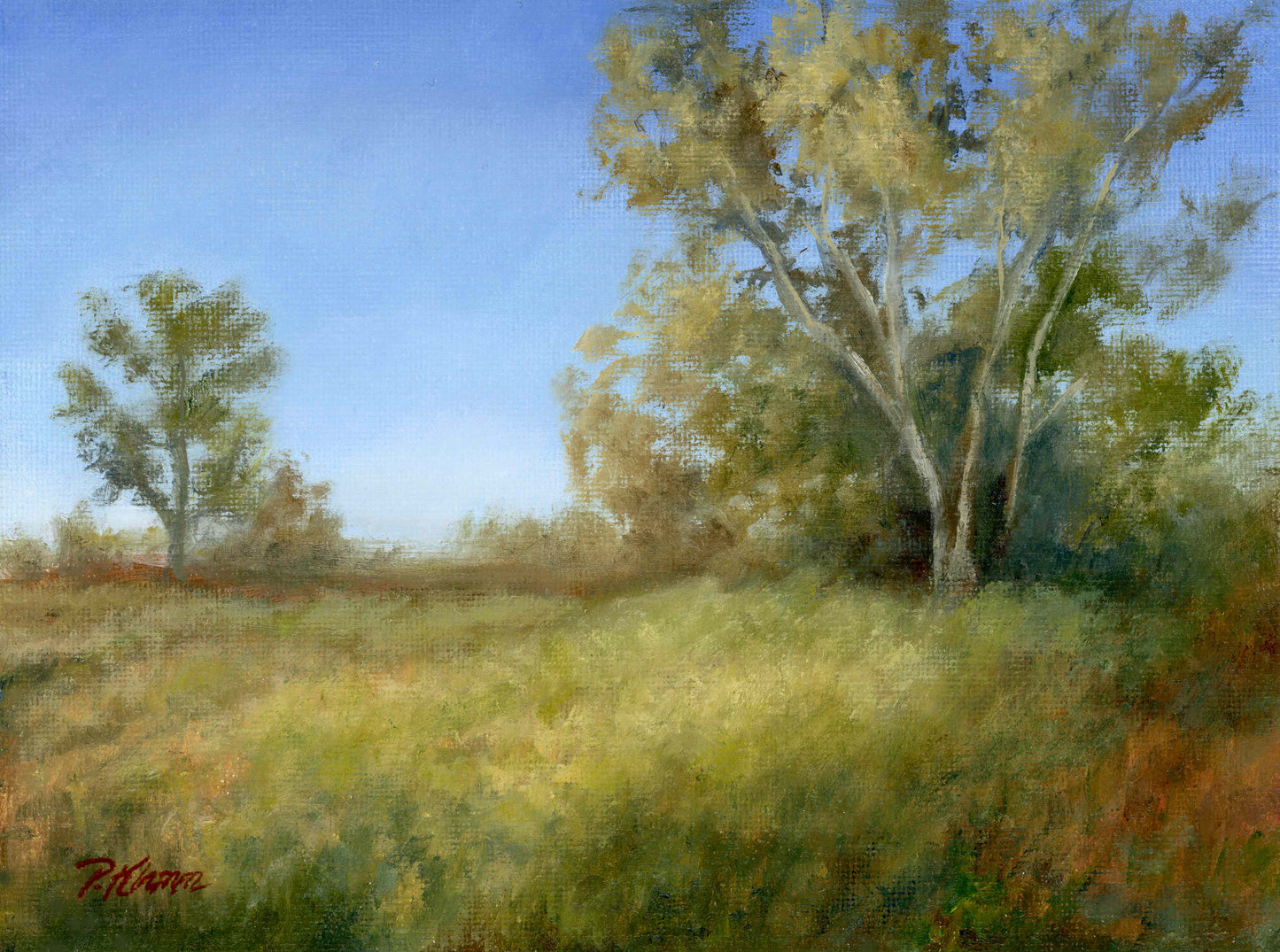 Fall Birches, Original Small Landscape Painting 6 x 8 Unframed