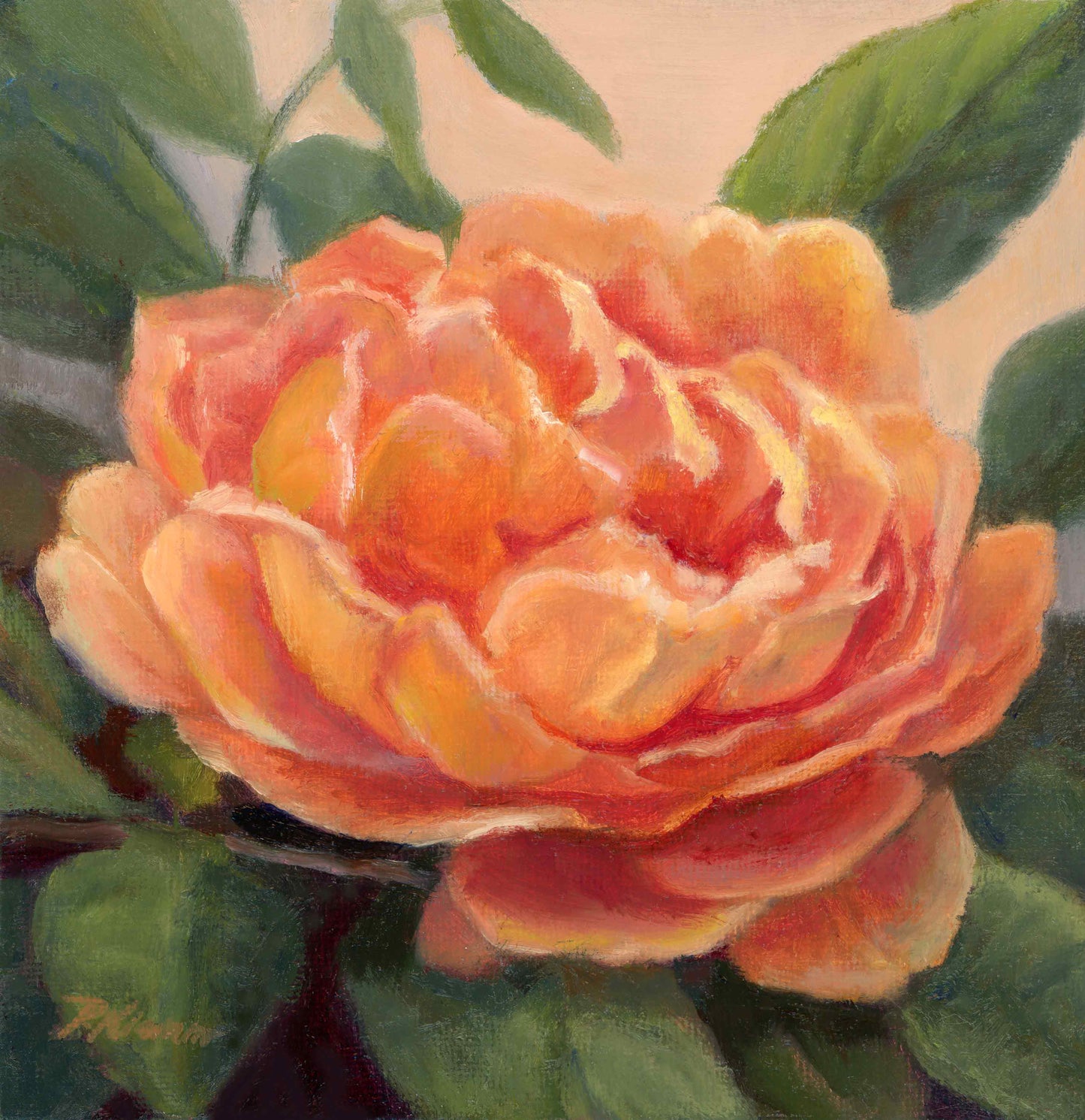 Orange Rose, Original Small Floral Oil Painting 6 x 6 Unframed