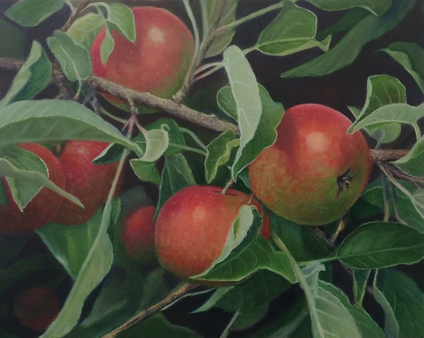 The Orchard, Apple Original Oil Painting 16 x 20