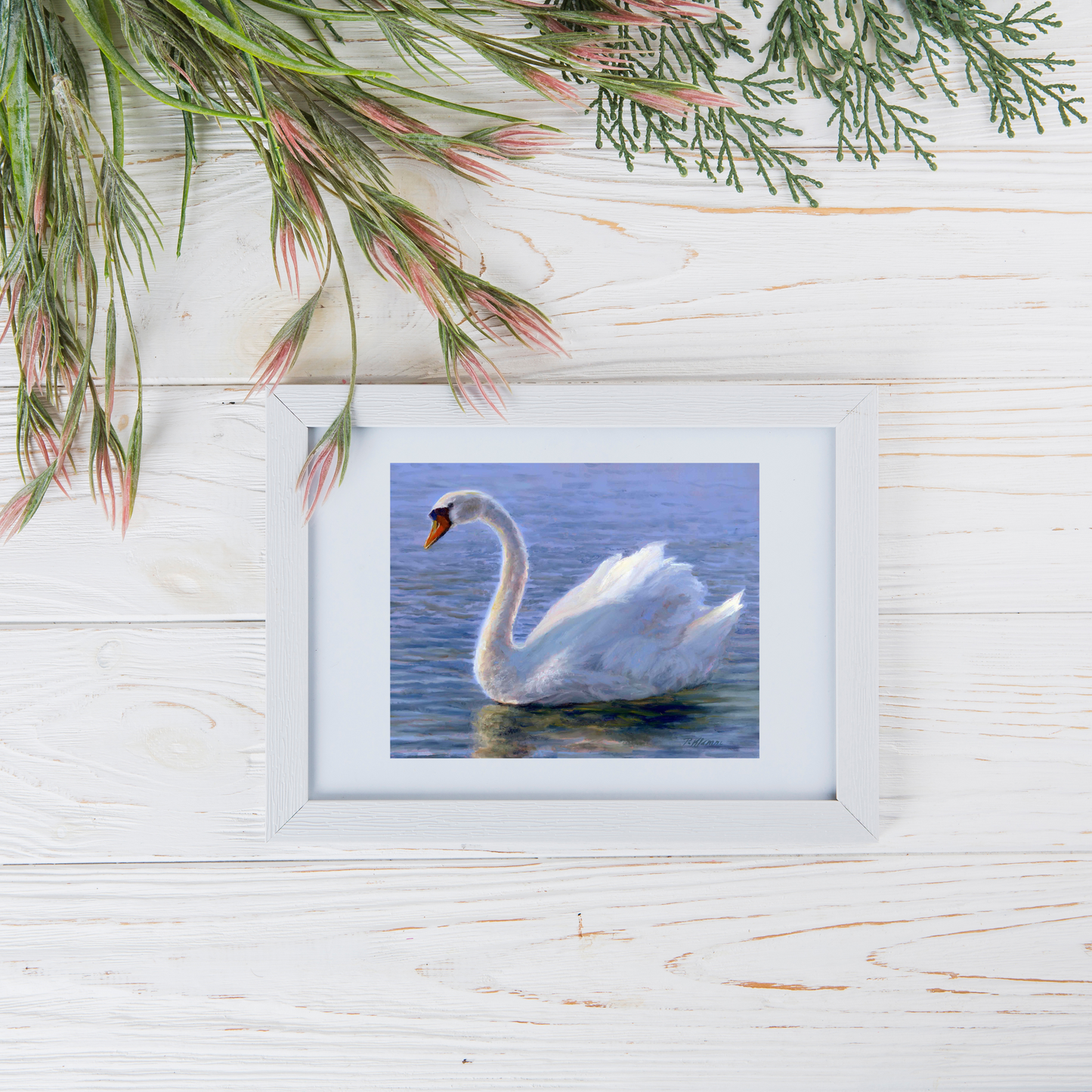 Radiant Swan, Fine Art Giclee Print