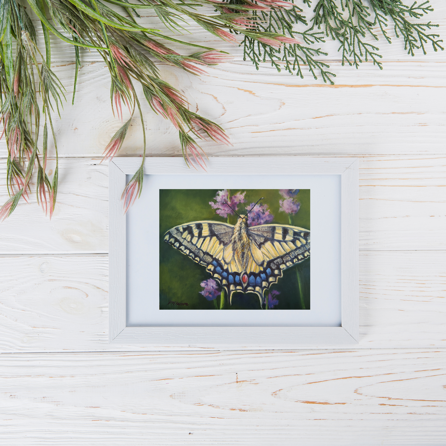 Swallowtail Butterfly, Fine Art Giclee Print