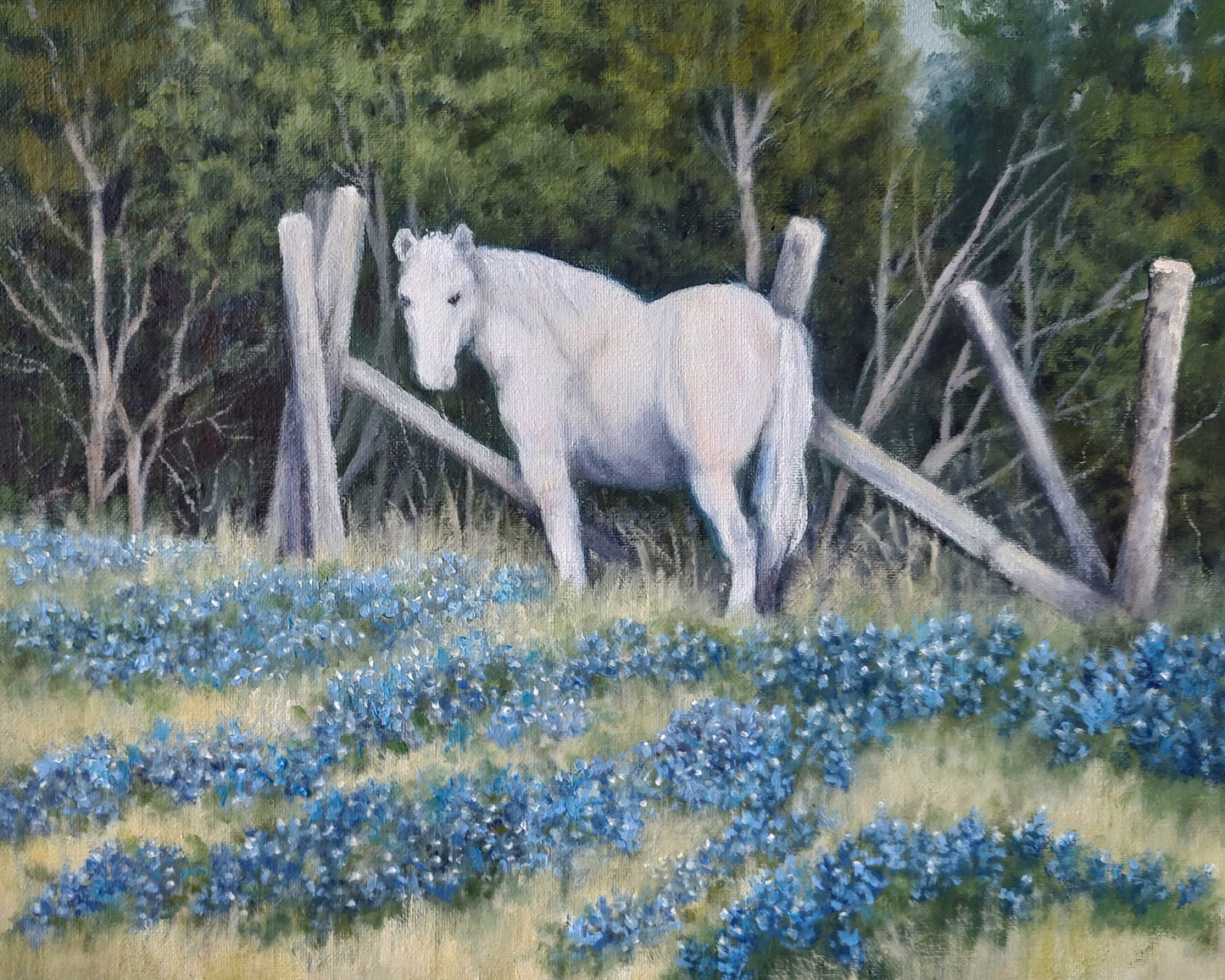 The Elusive White Horse, Fine Art Giclee Print
