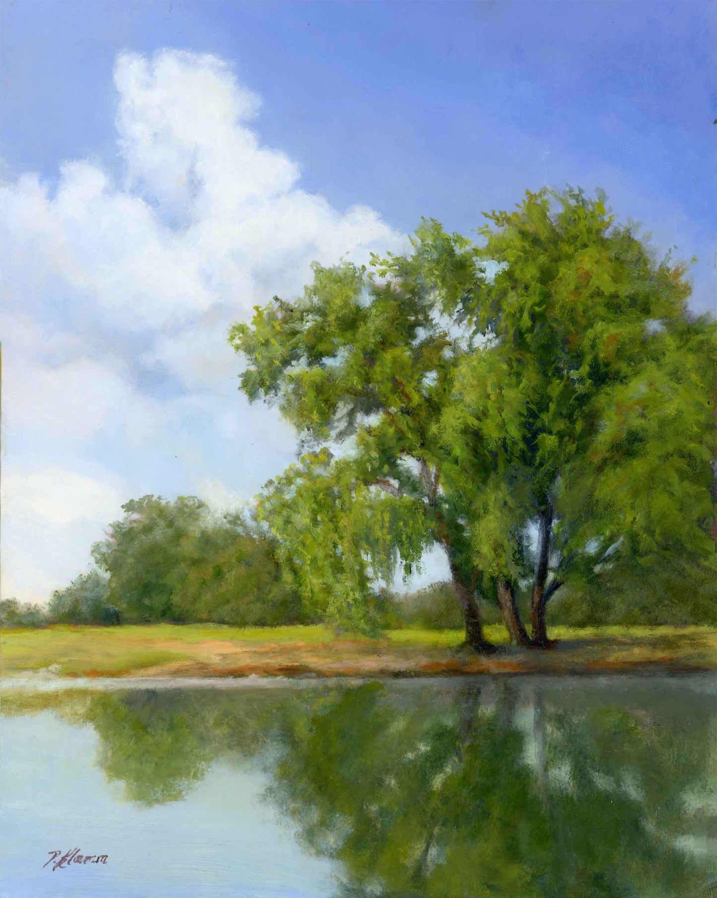 Water's Edge, Original Landscape Oil Painting 14 x 11