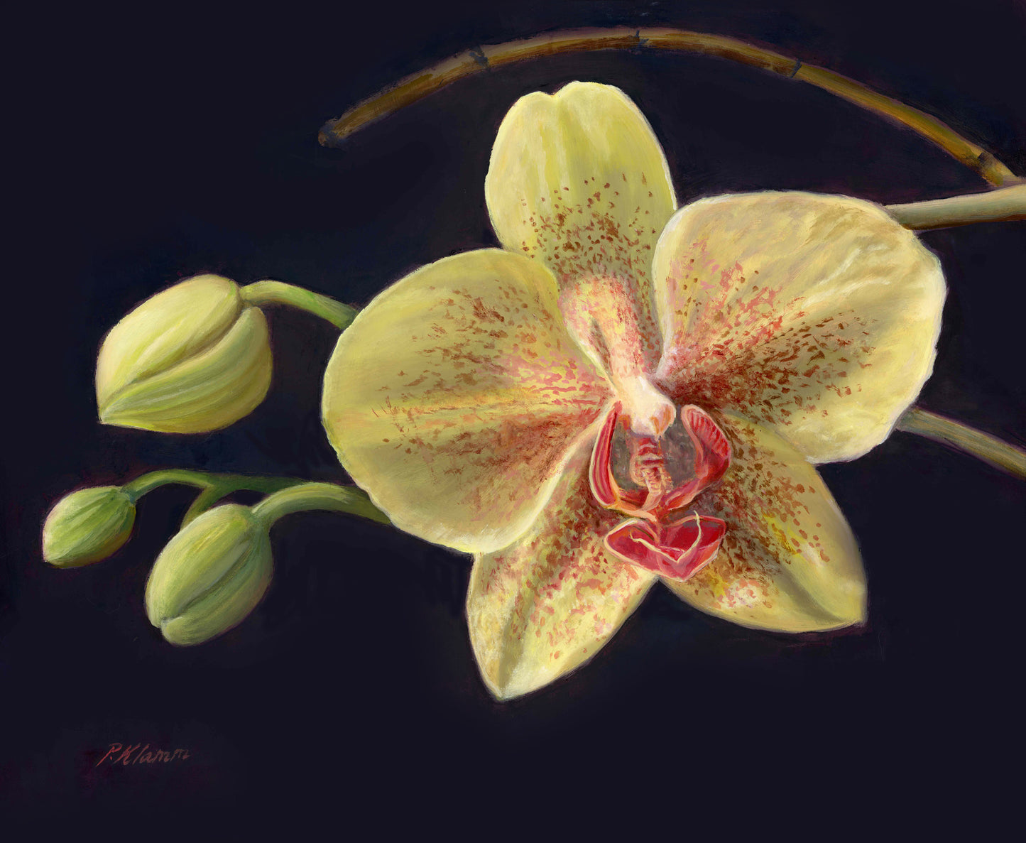 Yellow Polka Dot Orchid, Original Floral Oil Painting 11 x 14