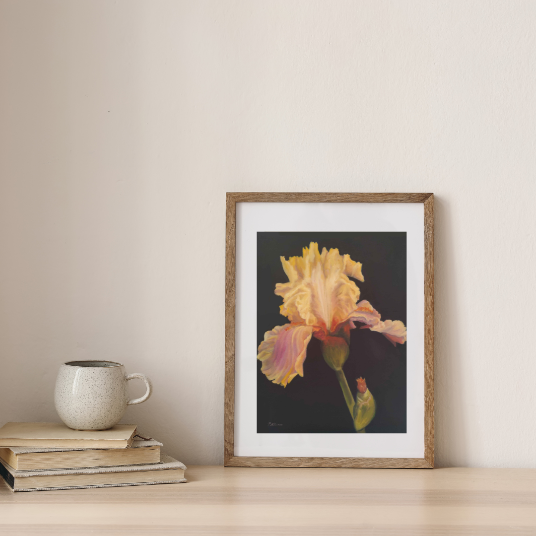 Yellow Purple Iris, Fine Art Giclee Print