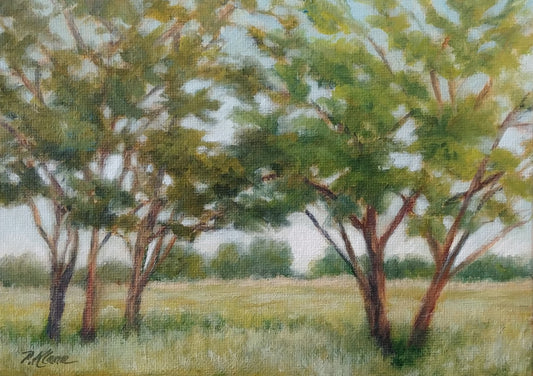 Meadow Trees, Original Small Landscape Painting 5 x 7 Unframed