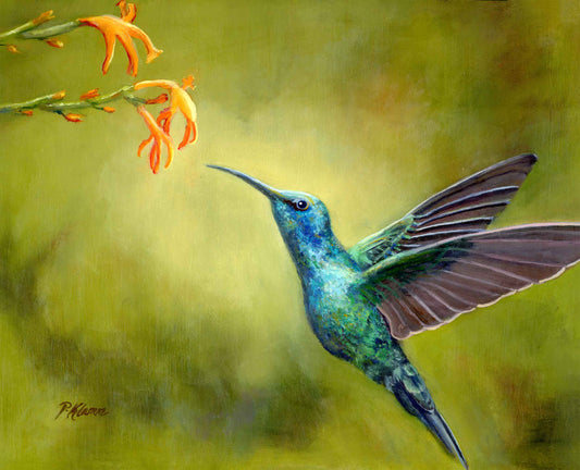 Blue Green Hummingbird, Original Oil Painting 11 x 14