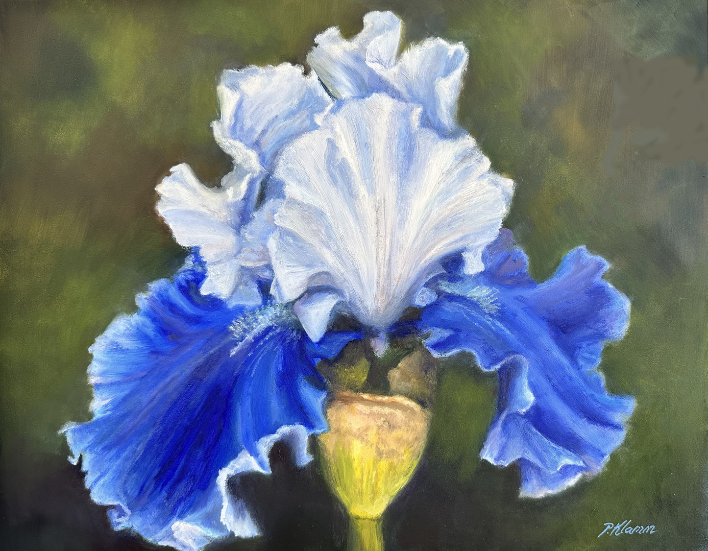 Blue Beard, Original Floral Oil Painting 11 x 14