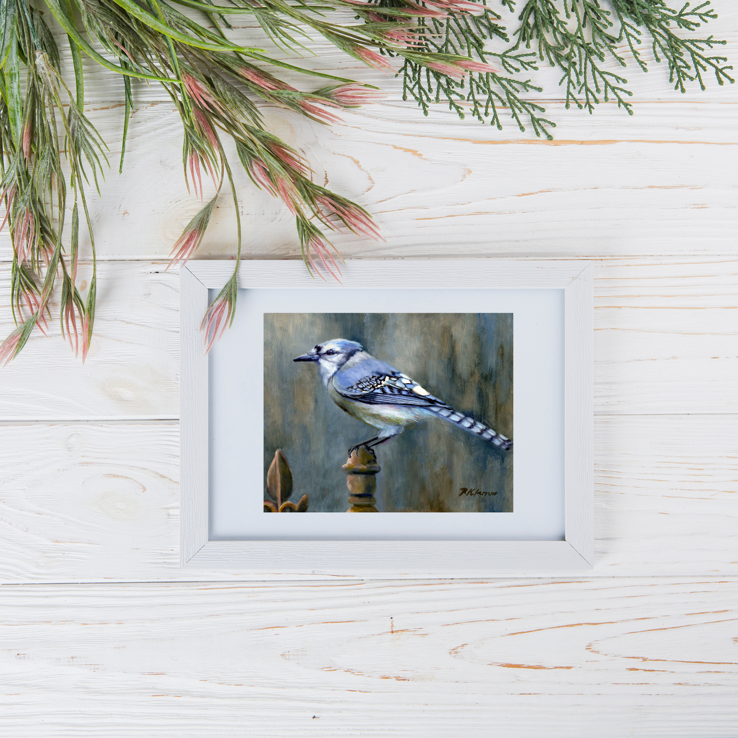 Blue Jay at the Gate, Fine Art Giclee Print