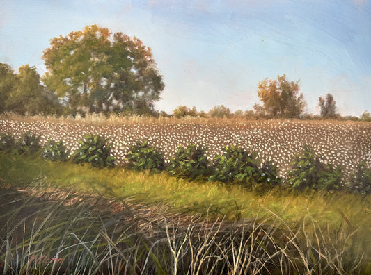 Cotton Fields, Original Small Landscape Oil Painting 9 x 12