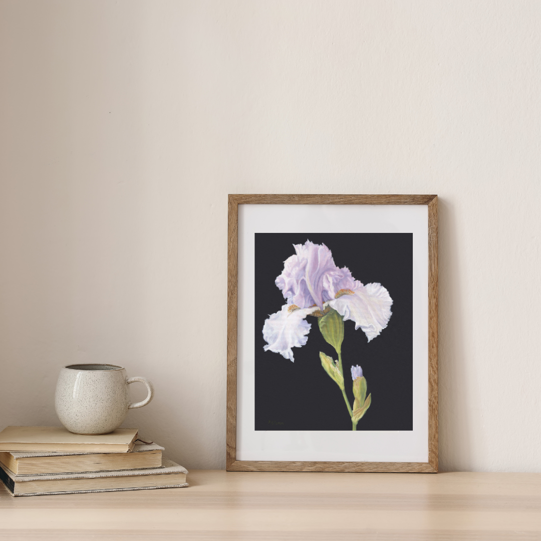 December Iris, Fine Art Giclee Print