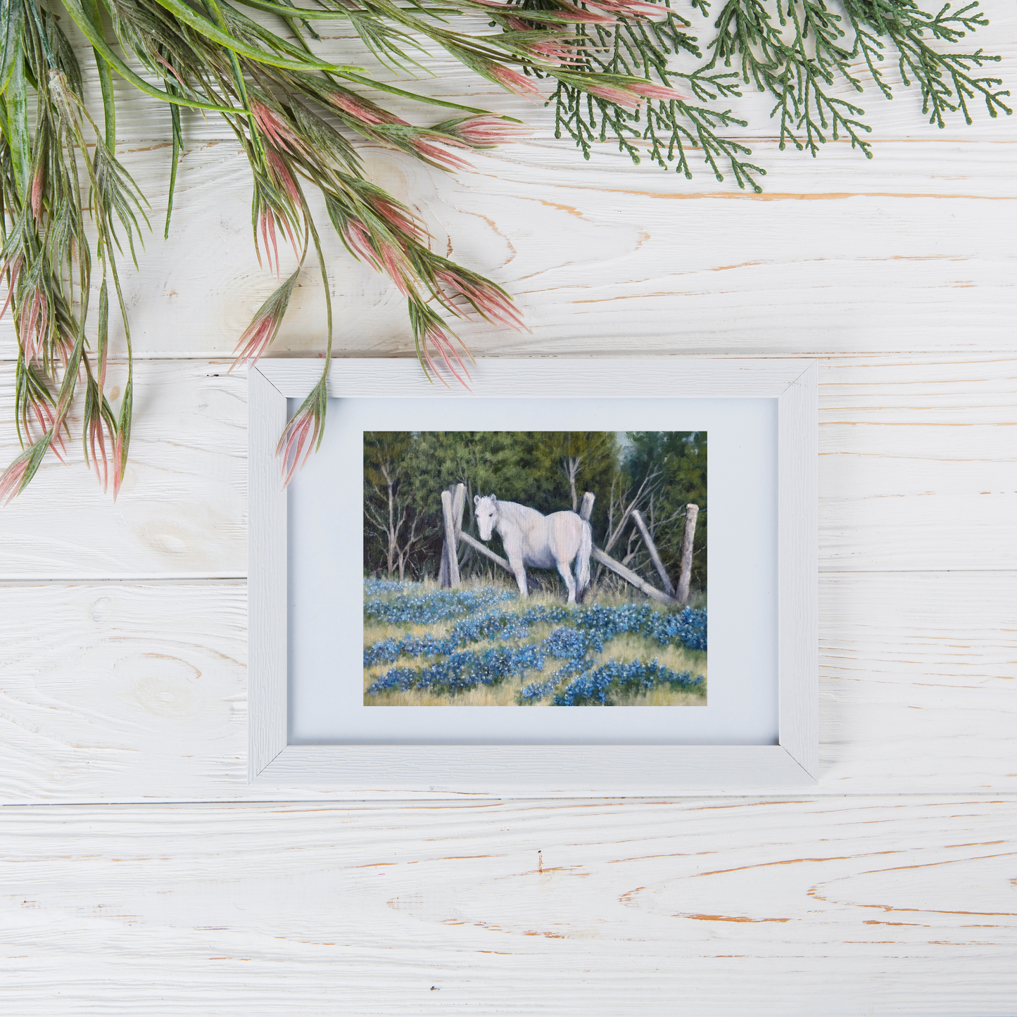 The Elusive White Horse, Fine Art Giclee Print