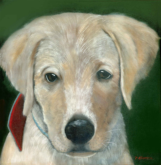 Golden, Original Oil Painting 16 x 16