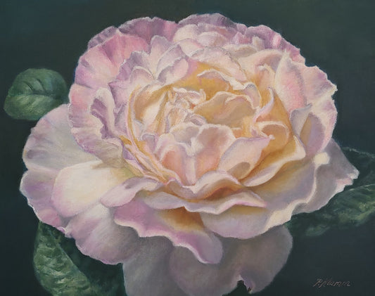 Peace Rose, Fine Art Giclee Print