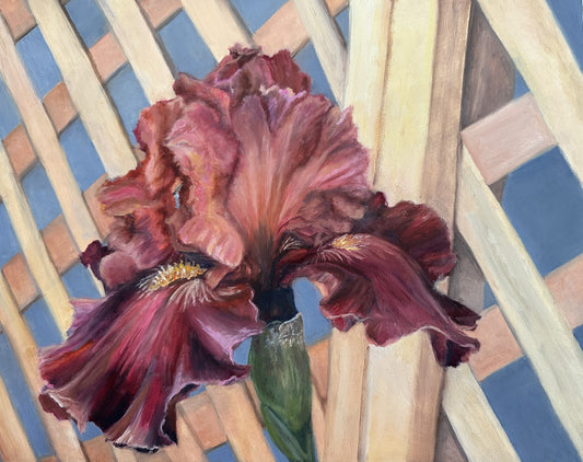 Wine Iris, Original Floral Oil Painting 11 x 14