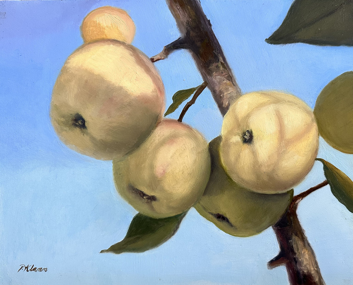 Golden Apples, Original Small Oil Painting 8 x 10