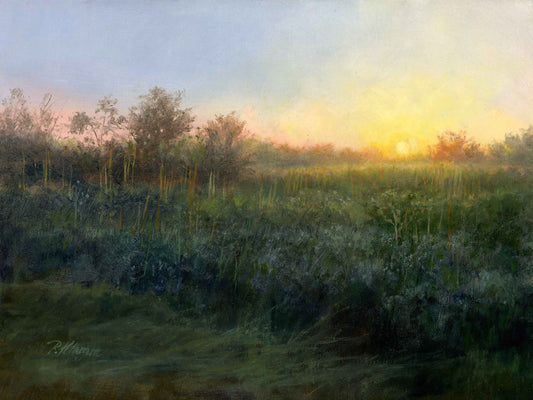 Meadow Morning, Original Small Landscape Oil Painting 9 x 12
