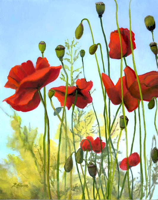 Looking Up, Poppy Original Small Floral Oil Painting 10 x 8