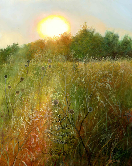 Meadow Interlude, Field Sunset Fine Art Giclee Print