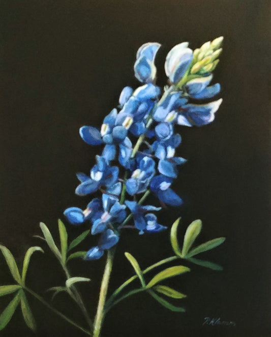 Bluebonnet, Original Small Floral Oil Painting 10 x 8