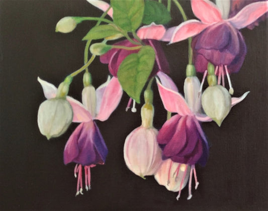 Fuchsia, Original Floral Oil Painting 11 x 14