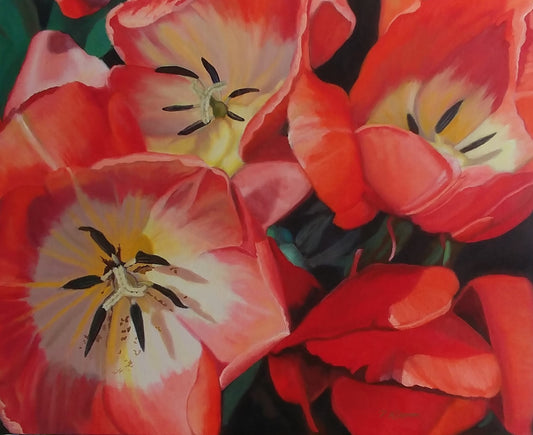 Light Falling on Tulips, Fine Art Giclee Print