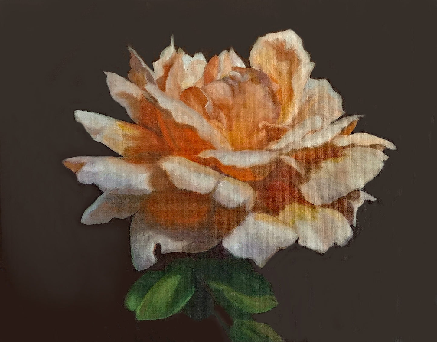 Rose By Any Other Name, Original Floral Oil Painting 11 x 14