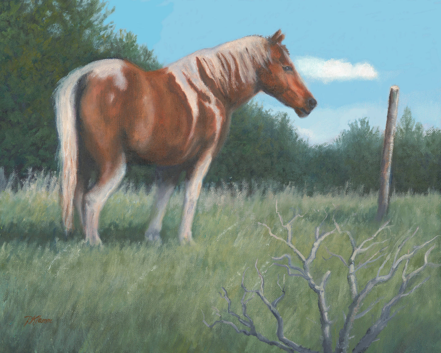 The Painted Horse Original Oil Painting 11 x 14