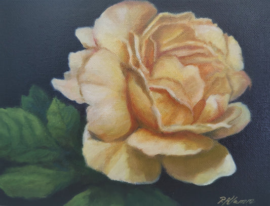 Yellow Garden Rose, Original Small Floral Oil Painting 6 x 8 Unframed