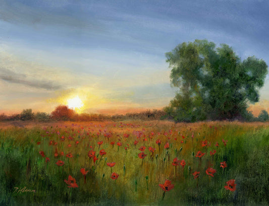 Poppies at Sunset, Original Small Landscape Oil Painting 9 x 12