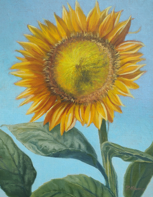 Sunlit Sunflowers, Original Floral Oil Painting 14 x 11